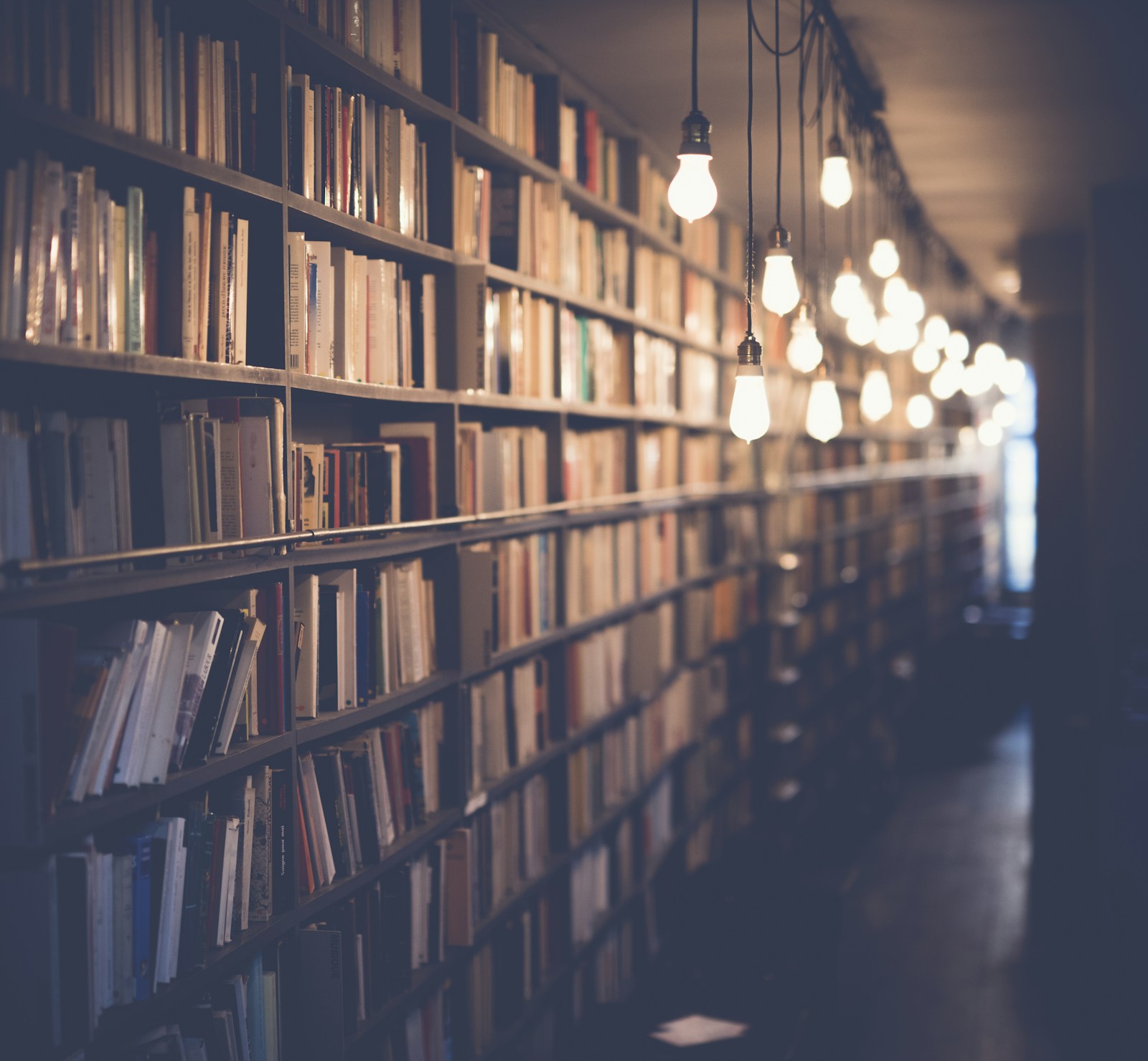 Bookcases lining a peaceful library aisle
