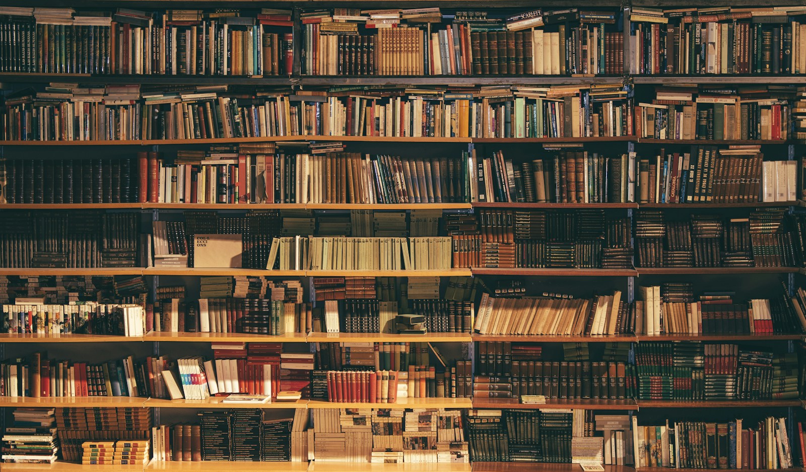 Tall wooden shelves filled with books in a quiet library