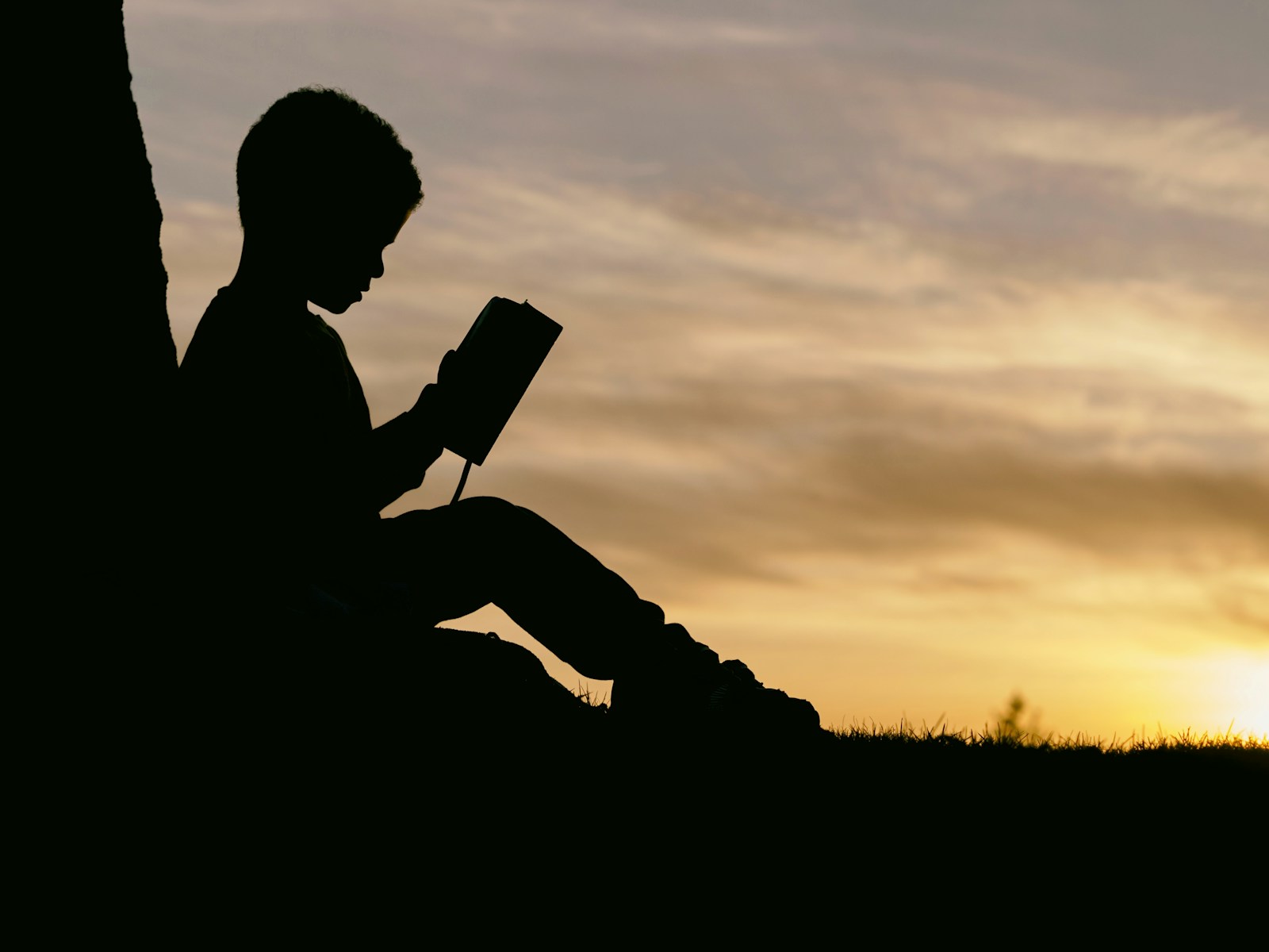 A person reading outdoors in soft evening light